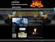 strona www Tadpol