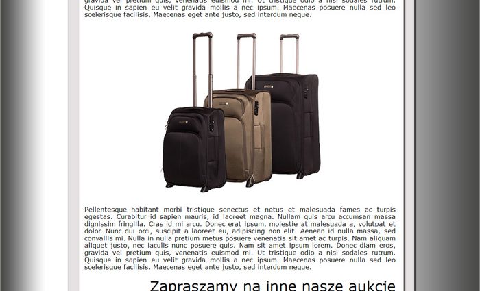 szablon Allegro - walizki, torby i portfele